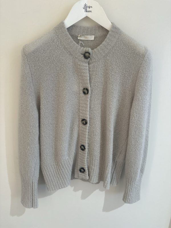 Fedeli vest